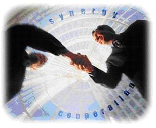 AAAcandidato ideale cercasi