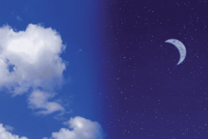 Cos&igrave; simili ma cos&igrave; diverse