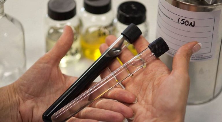 Gattai Minoli con Dbag nellingresso in Itelyum