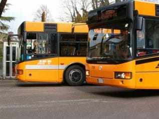 bus2.jpg