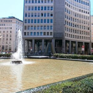 Cms ufficializza l’ingresso di Massimo Trentino