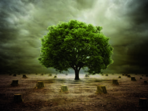 AVVOCATI D’IMPRESA, UNA NUOVA CASTA?