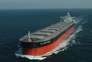 Riorganizzazione di Fratelli d’Amato, gli studi