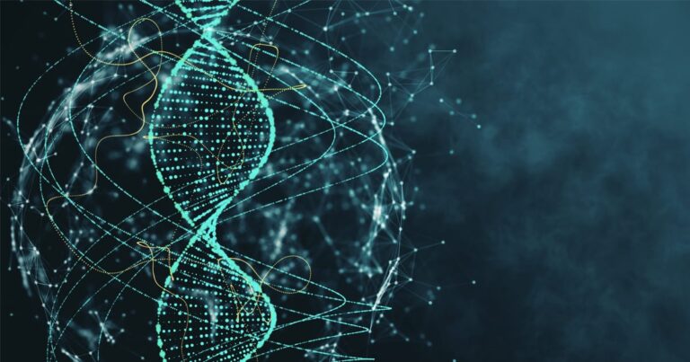 Clifford con Dedalus per l’acquisto del business It di Agfa-Gevaert