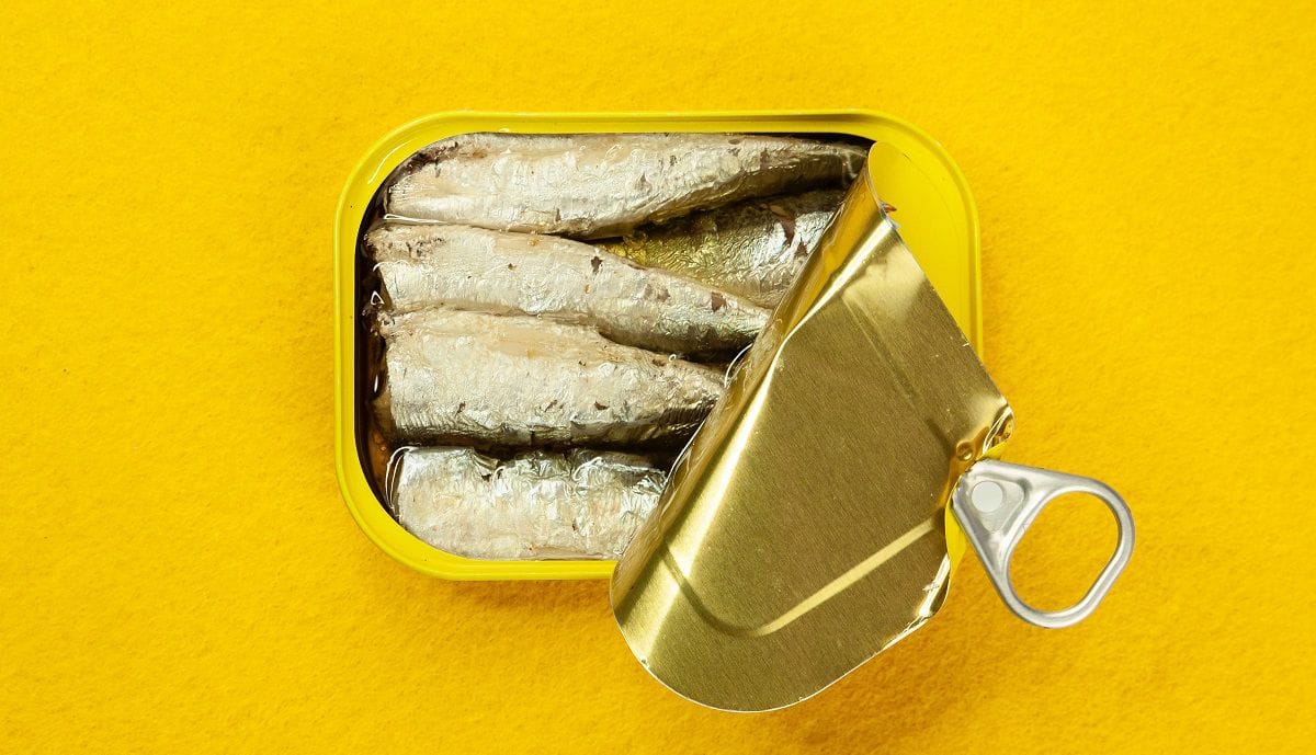 pexels-sardine_1200.jpg