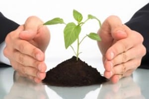 Crd IV e Solvency II, il ruolo dell’in-house