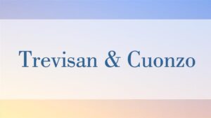 Il Digital Services Act in full force: adempimenti e opportunità per fornitori e utilizzatori