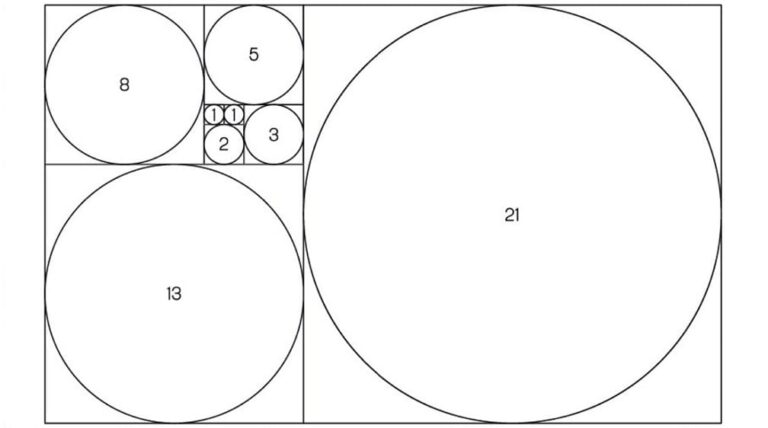 Il boomerang della leva