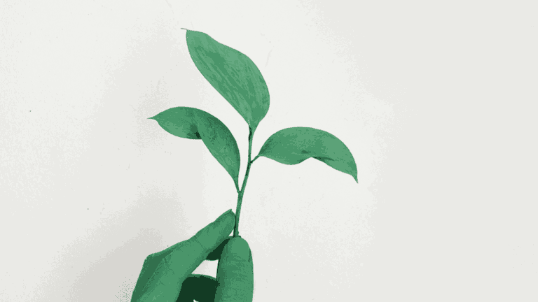 Rp Legal & Tax avvia una partnership con Oxfam