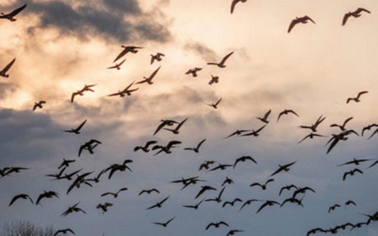 Lateral: aumentano le uscite al ribasso dei soci