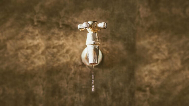 Gli studi frenano le uscite